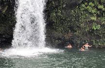 Small-Group Road to Hana Adventure Tour with Pickup & Lunch