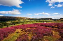 Yorkshire Dales Day Trip from York