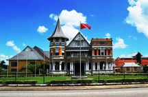 Trinidad Highlights Tour from Port of Spain
