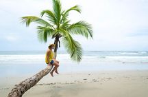 Coastal Tour of Trinidad