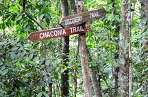 Trinidad Nature and Asa Wright Center Full-Day Tour from Port of Spain