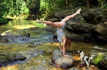 Trinidad Rainforest Hike to Waterfall