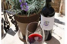 Chocolate and Wine Tasting Small Group Tour from Hvar