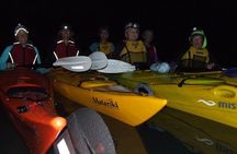Bioluminescence Kayak Tour - Est. 1994