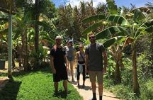 Cai Rang floating market and Mekong Delta Private Tour from HCMC