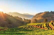 Doi Inthanon National Park Full Day Tour from Chiang Mai