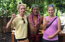 Oahu Island Highlights in Small Group | 30 Spots | ~10 Stops