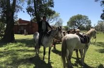 1.5 hr Horseback Riding Montevideo, Uruguay, with transportation