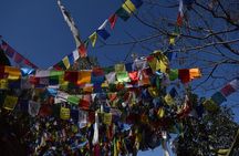 Namo Buddha and Thrangu Tashi Yangtse Monastery Half-Day Tour