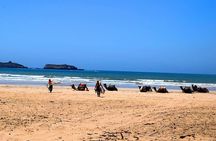 Premium Surf Trip to Essaouira from Marrakesh