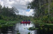 Orlando Manatee Encounters
