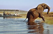 Victoria Falls : Chobe National Park Day Trip with (Buffet) Lunch