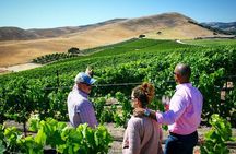 Small-Group Wine Tour to Private Locations in Santa Barbara 