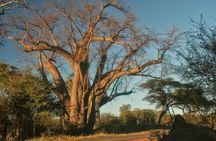 Victoria falls Day Trip in Zimbabwe from Livingstone (Zambia)