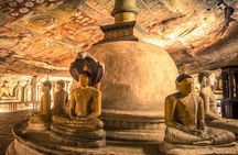 Sigiriya Day Tour with all included