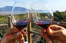 Wine Tasting - Tour and Tasting in Vesuvius Winemaker