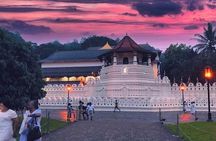 Kandy City Tour and day trip private luxury car and van