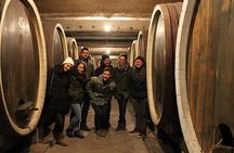 Small Group Wine Tour in Sumadija Wine Region