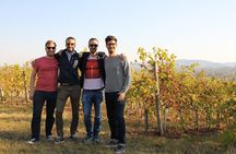 Small Group Wine Tour in Sumadija Wine Region