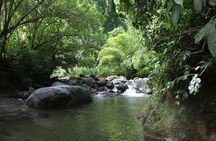 North Island Tour And Martinique Best Secret