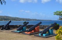 Highlights of Tobago Tour