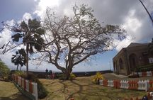 Highlights of Tobago Tour