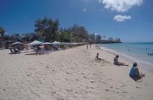 Tobago Island Tour