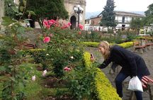 Coffee Plantation in Jardin and City sightseeing Tour