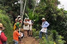 3-Day Colonial Coffee Trail