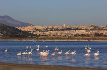Nora Tour from Cagliari