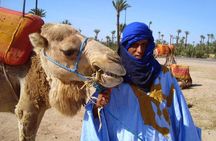 Best Sunset Camel Ride with tea break in the Palm Grove of Marrakech
