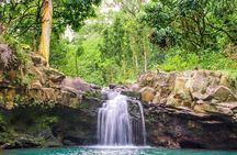 Small Group Waterfall and Rainforest Hiking Adventure on Maui