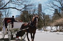 Central Park New York - Exclusive Guided Walking Tour