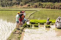 Half-Day Lanna Countryside Cycling Tour in Chiang Mai