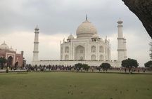 From Delhi: Taj Mahal and Agra Fort Private Day Tour By Car