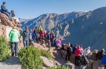 Colca Full Day 