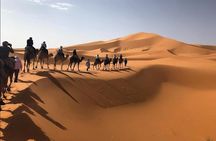 3-Day Camel Trek & Desert Adventure from Marrakech to Merzouga
