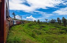 Nuwara Eliya journey by Train and car (2 Days with 01 Night)