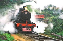 Nuwara Eliya journey by Train and car (2 Days with 01 Night)