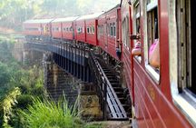 Nuwara Eliya journey by Train and car (2 Days with 01 Night)