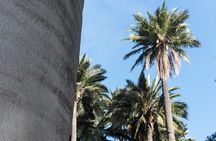 Explore the Coastal Mountains - Private Day Trip from Santiago