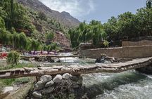 Day trip to the High Atlas and Ourika Valley: Private 