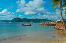 Martinique Shore Excursion - Authentic Tour of Southern Martinique