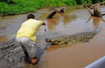 Crocodiles Safari & Zipline adventure - Private Sightseeing Tours