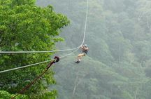 Crocodiles Safari & Zipline adventure - Private Sightseeing Tours