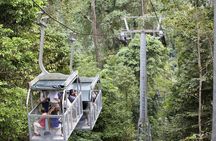 Veragua Rainforest Eco-Adventure & Aerial Tram Experience