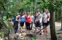 Private Cu Chi Tunnels and War Remnants Museum Tour From Phu My Port