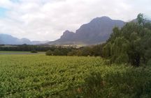 Private Cape Winelands Tour from Cape Town