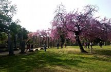 Katakolon Shore Excursion: Premium Skip-the-Lines Olympia & Free Olive Oil Tasting Tour