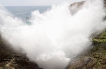 Ensenada Shore Excursion: City Tour & La Bufadora